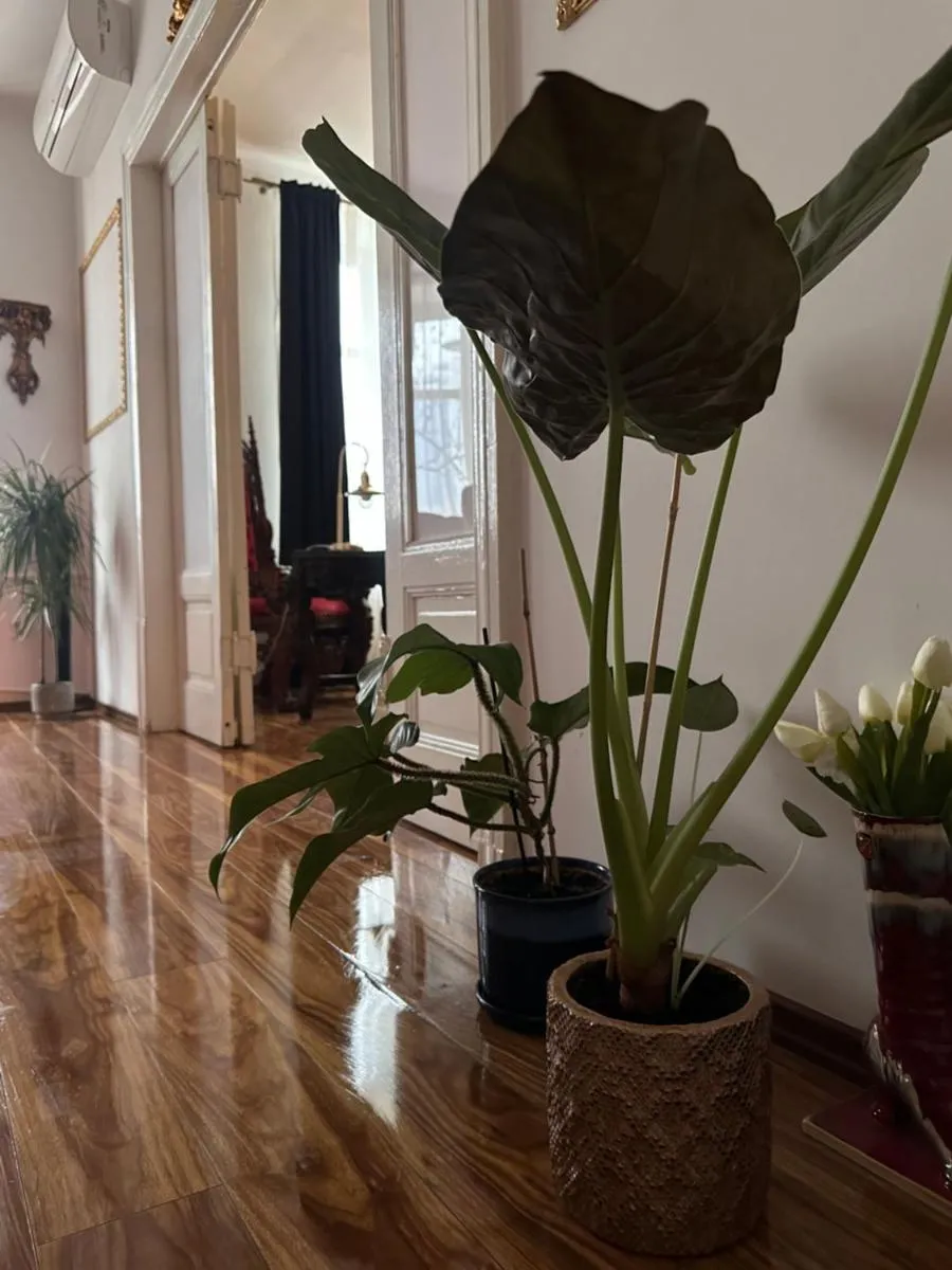 Image 1 of Exclusive Apartment Chmielna Street 95m2
