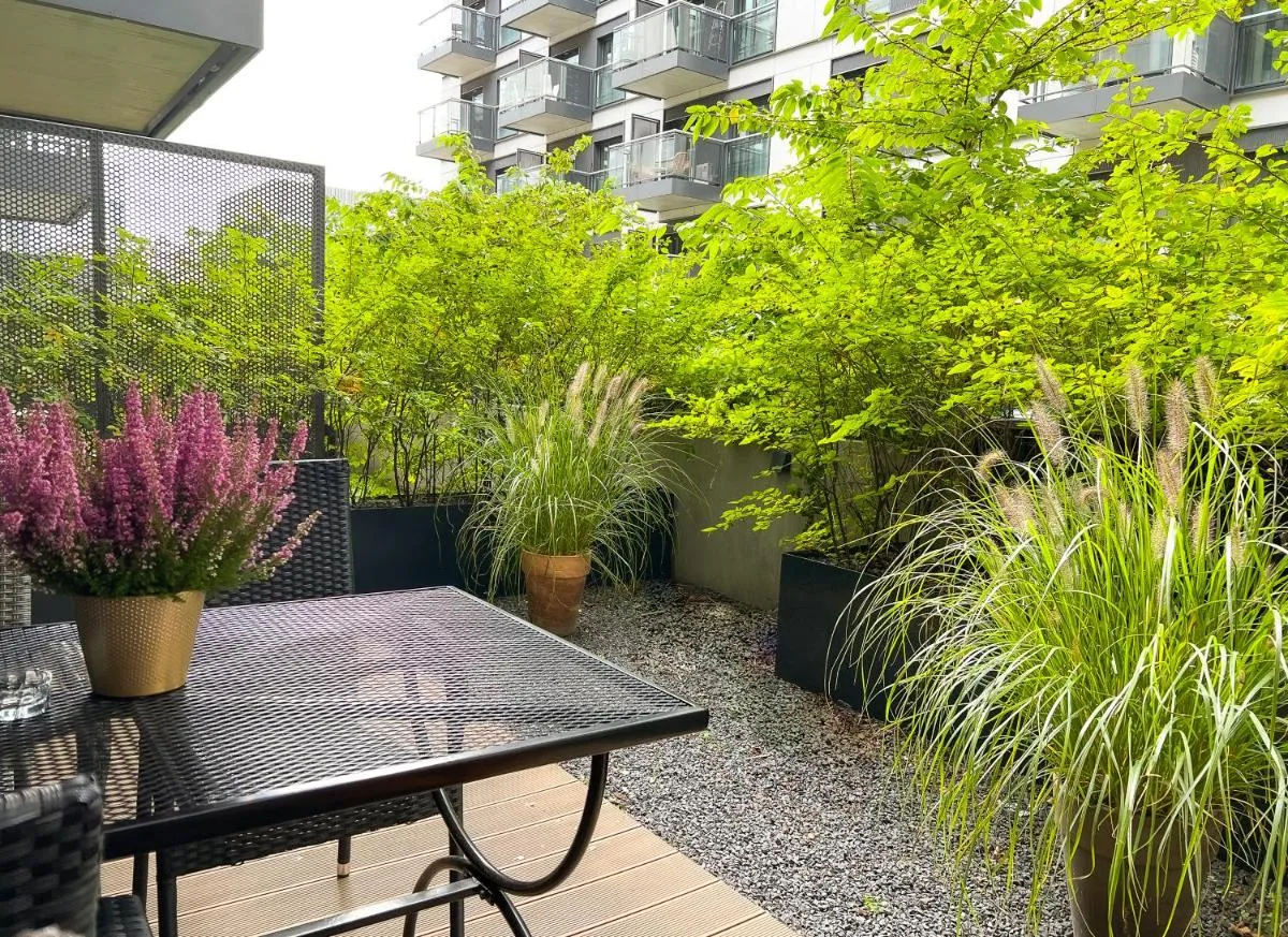 Image 4 of MENNICA RESIDENCE PATRONUS Apartments