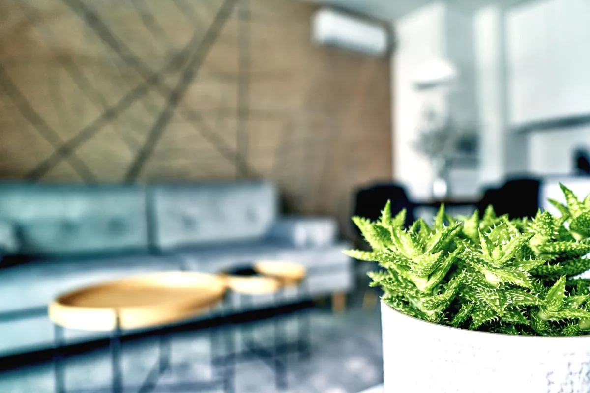 Image 6 of MENNICA RESIDENCE SUITE APARTMENTS