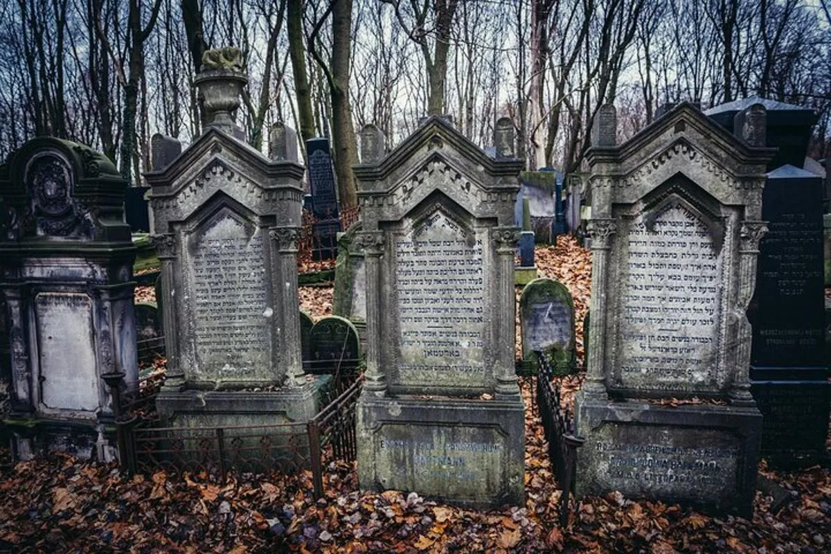 Image 3 of Private Tour of Warsaw Ghetto, Jewish Cemetery, POLIN Museum