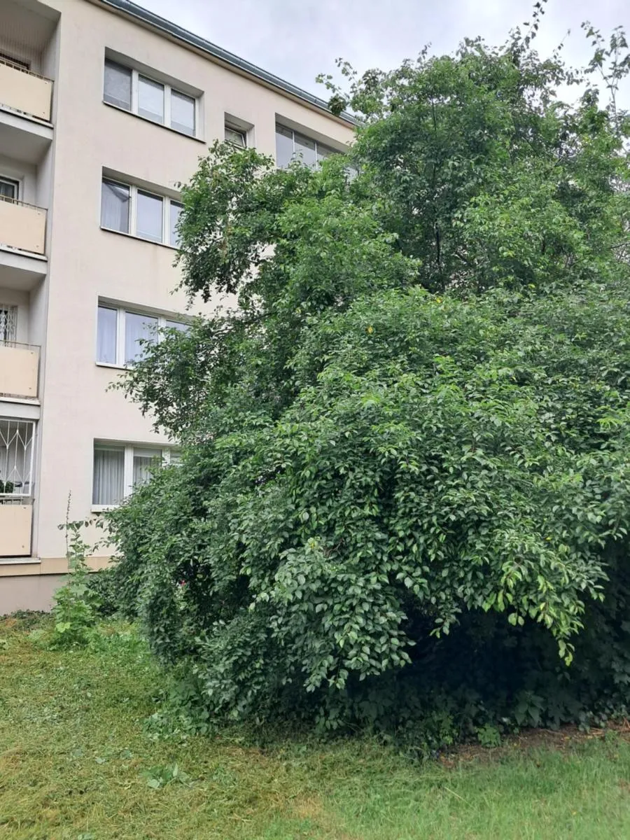 Image 5 of Apartament Warszawa Mokotów