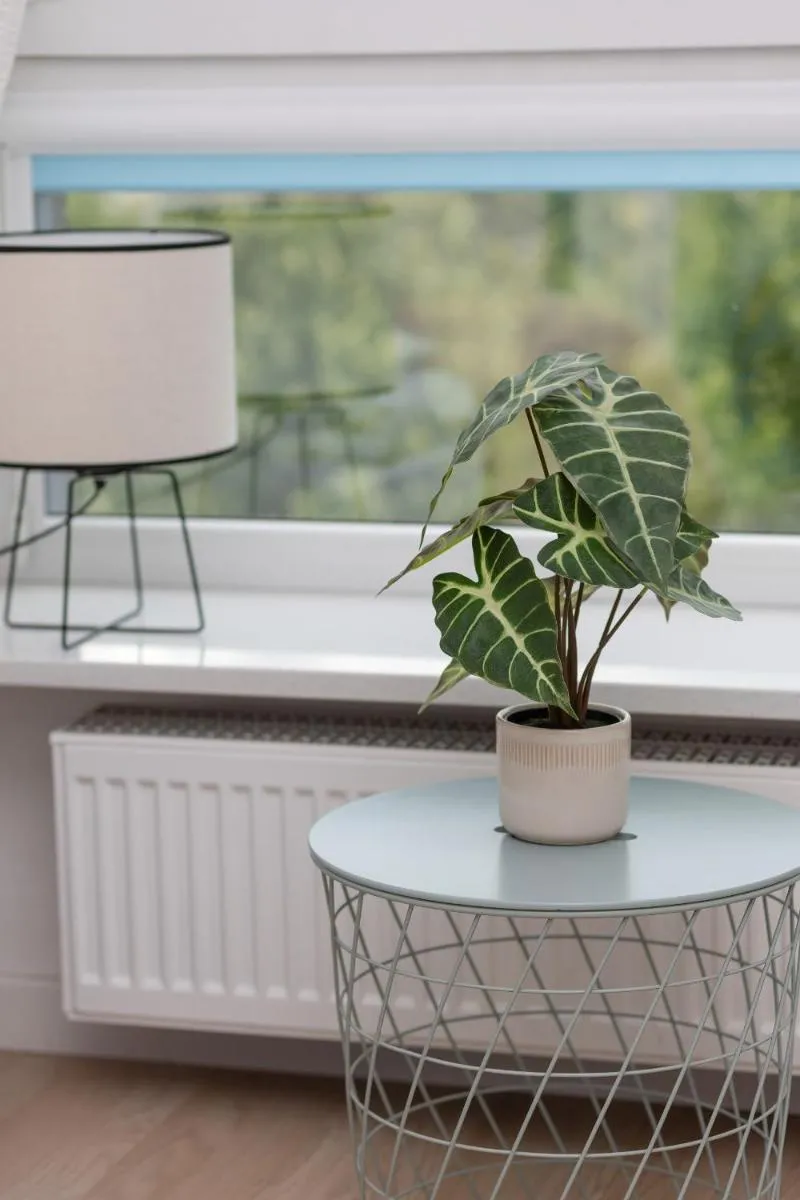 Image 4 of Cosy Apartment with Parking Nowaka-Jeziorańskiego Praga by Noclegi Renters