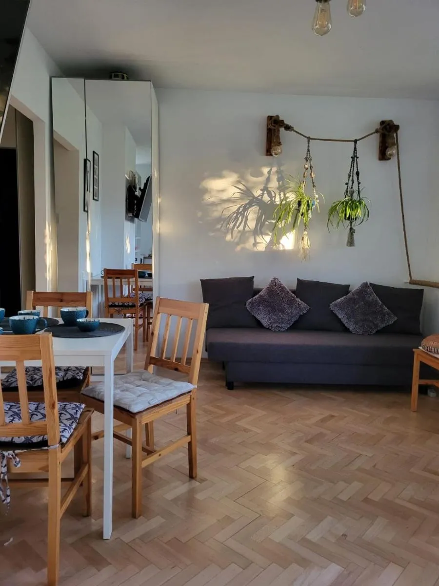 Image 3 of Cozy Studio Dzielna