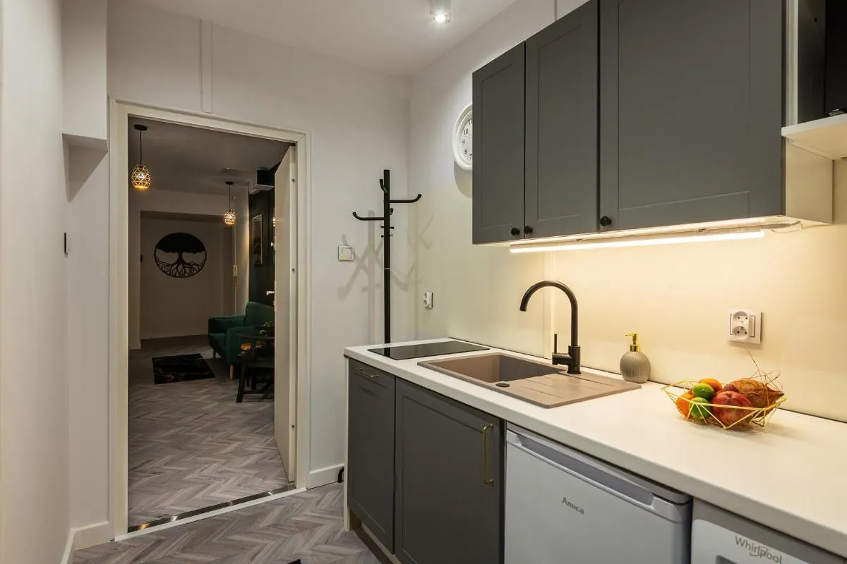 Image 2 of Luxury Apartments in the City Center
