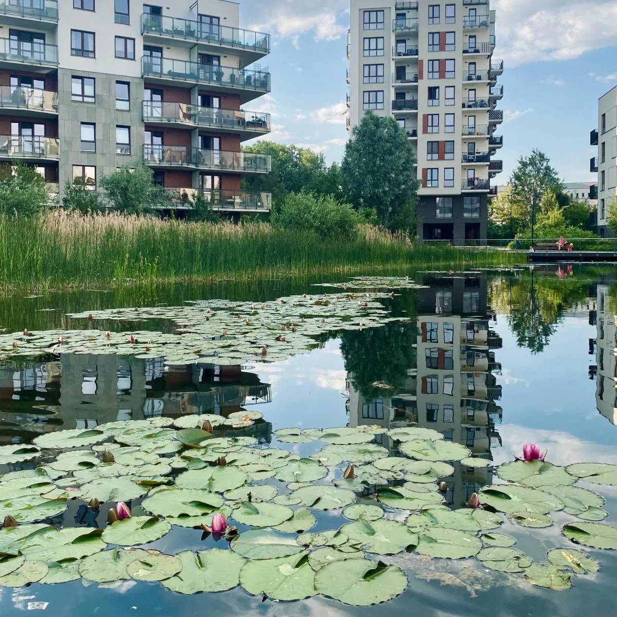 Image 5 of Tuyo Apartments Lake park